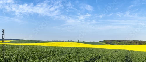 Obraz wiosenne pole
