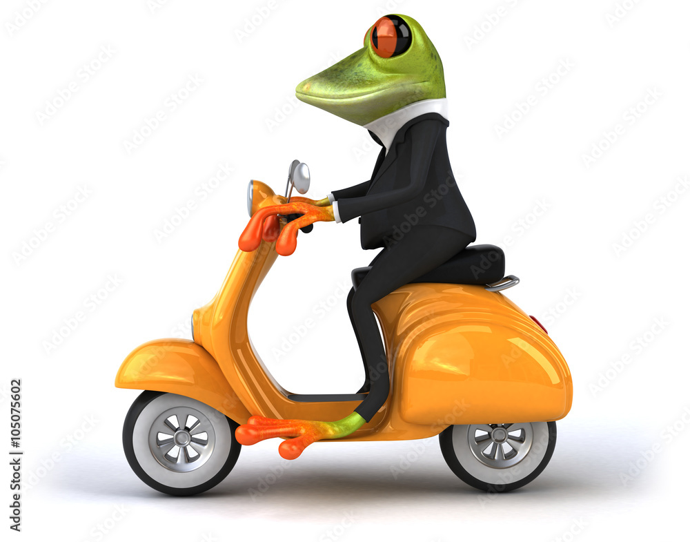 Fun frog Fun frog