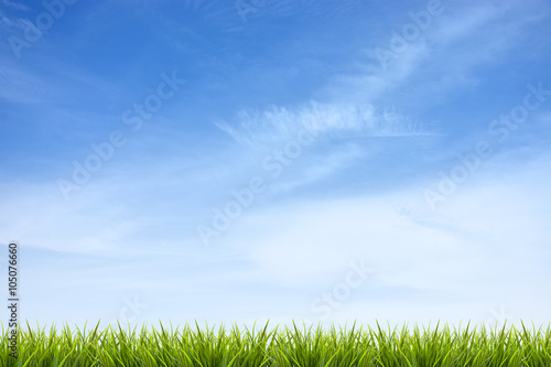 Grass grass under blue sky and clouds