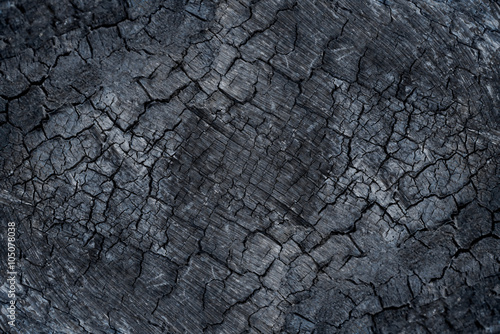 Surface of wood charcoal