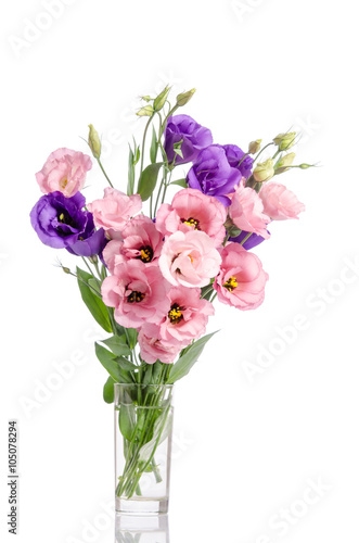 bunch of violet and pink eustoma flowers in glass vase isolated