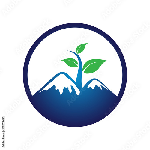 Plant Grow on Mountain Nature