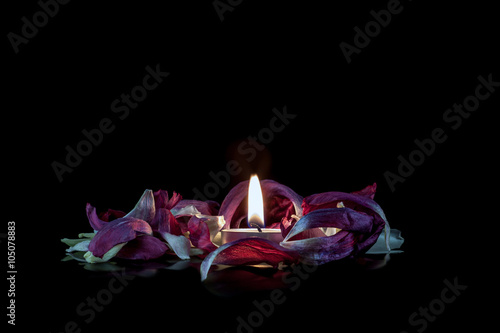 candle in flowers