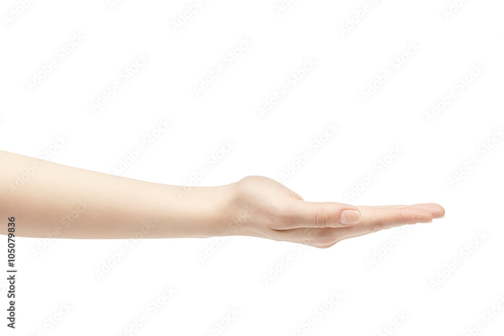 empty young female hand to hold something straight, isolated on white background empty young female hand to hold something straight, isolated on white background