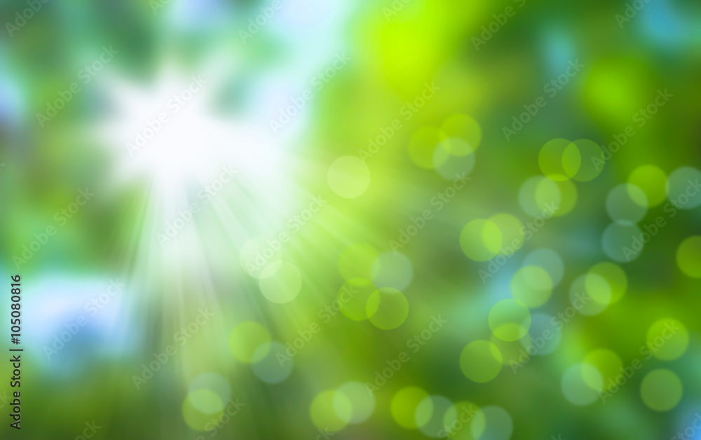 Fototapeta premium sonne im wald - frische grüne natur abstrakter hintergrund mit unscharfen lichtern