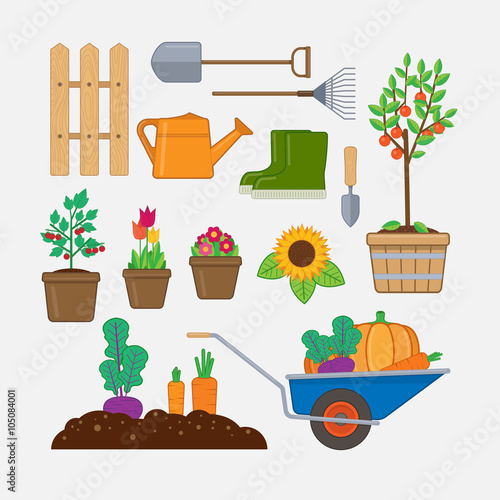 Gardening set. Illustration with gardening tools,wooden fence, flowers and plants in pots, gumboots, and wheelbarrow with vegetables.
