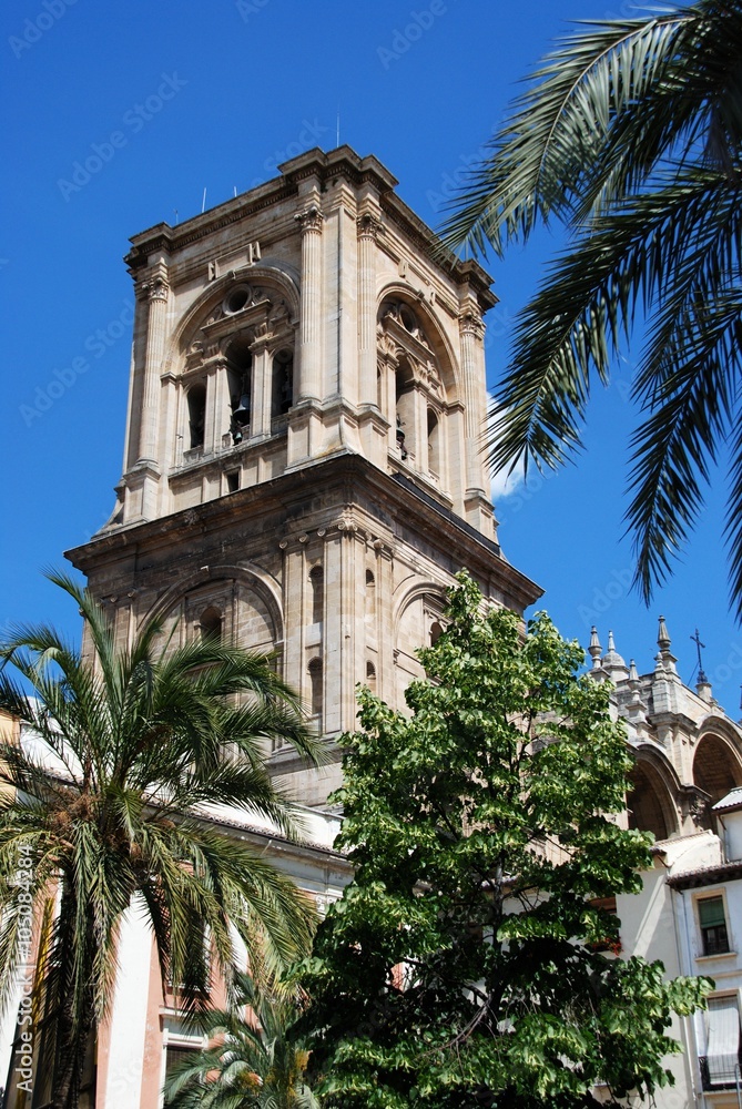 Granada Cathedral bell tower, Spain.