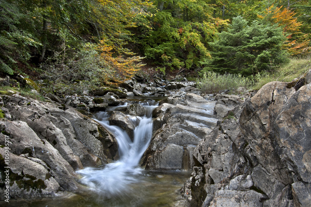 Natural park Selva de Irati en Navarra / Navarre durante el otoño , Irati Forest autumn Natural park Selva de Irati en Navarra / Navarre durante el otoño , Irati Forest autumn