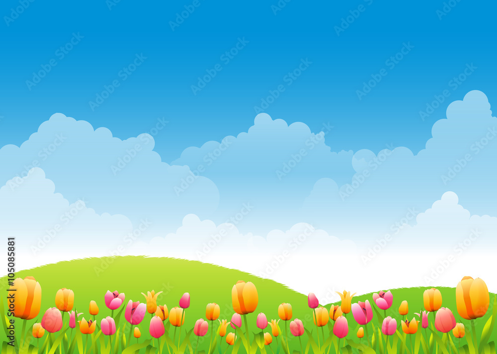 Landscape in spring with blue sky and hills with flowers