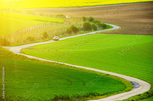 Rural sunny landscape with green fields, road and waves, South Moravia, Czech Republic © Roxana