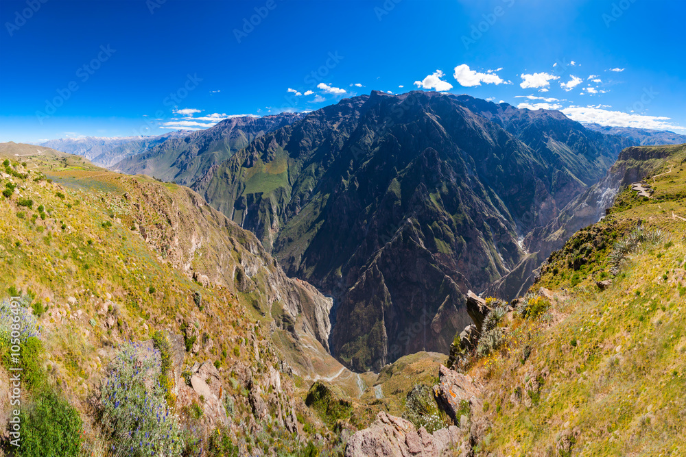 Colca Canyon, Peru