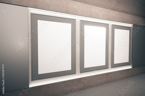 Blank brown picture frames on the wall in empty hall, mock up, 3