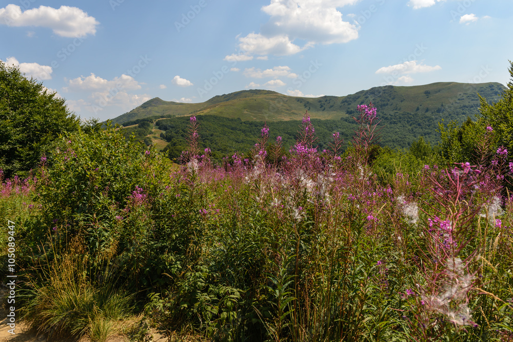 Fototapeta premium Bieszczady