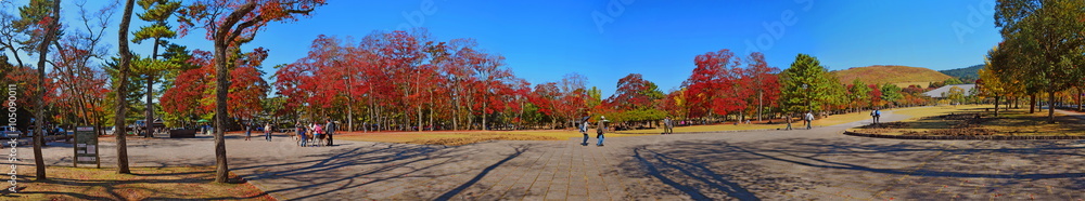 Panorama of open space during Autumn in Nara, Japan - Photo taken on November 4th, 2015 Panorama of open space during Autumn in Nara, Japan - Photo taken on November 4th, 2015