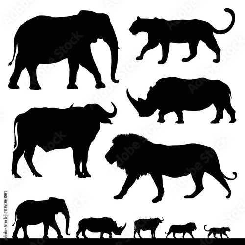 big five african safari animals