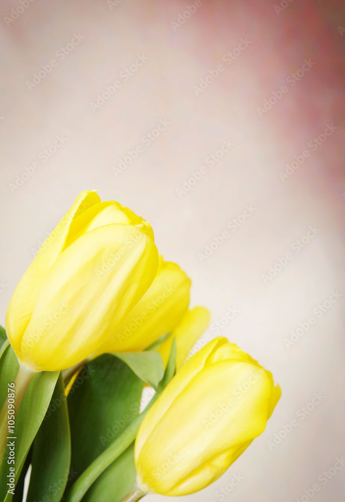Obraz premium Beige background with vibrant yellow tulip flowers in the corner