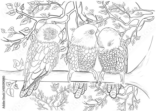 Hand drawn ink pattern. Coloring book Coloring for adult