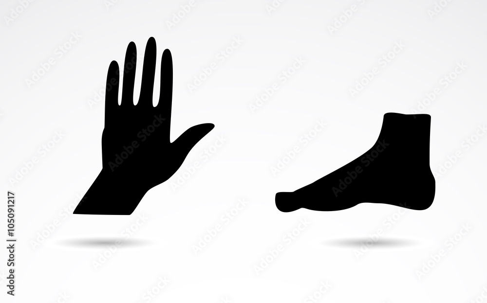 Human hand and foot vector icons. Human hand and foot vector icons.
