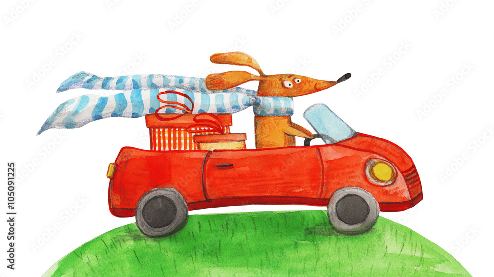 Fototapeta Dog with gifts in car. Watercolor illustration