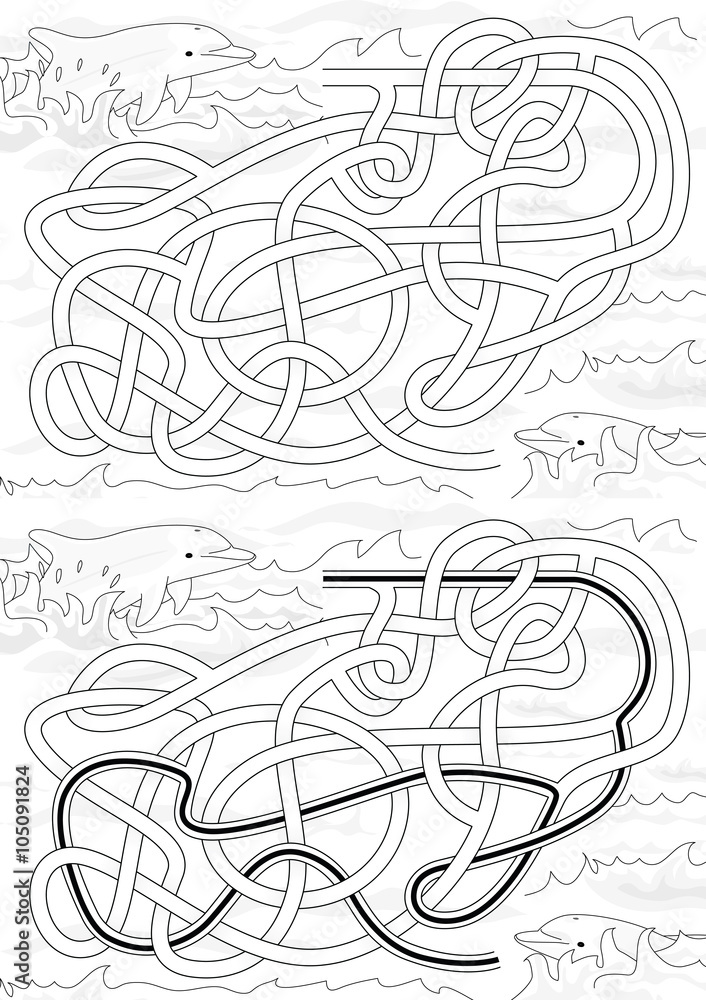 Fototapeta premium Dolphin maze