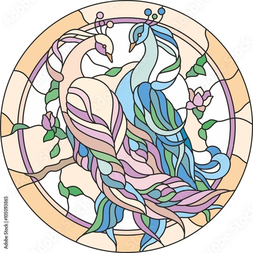 stained glass window couple peacock