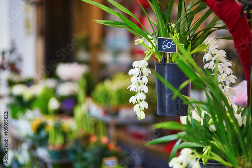 Fototapeta Naklejka Na Ścianę i Meble -  Parisian outdoor flower shop