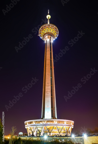 Night view of Milad Tower in Tehran 
