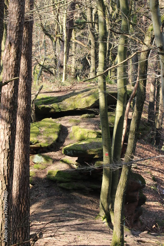 Roter Felsen im Pf  lzer Wald