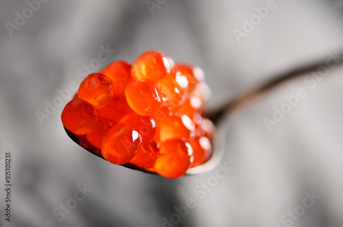 Red caviar in a metal spoon on a grey background