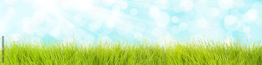Gras Hintergrund mit blauem Himmel