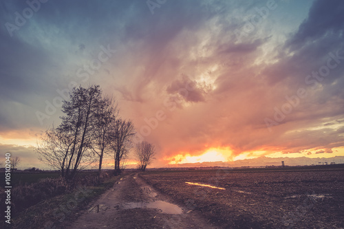 Winter sunset in the country