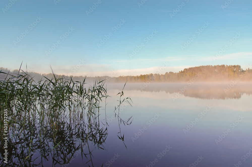 Fototapeta premium Early morning hour mist over beautiful lake in Estonia
