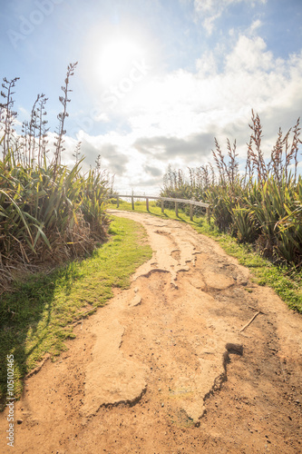 The idyllic sunrise on walking track  the scenic nature upon the