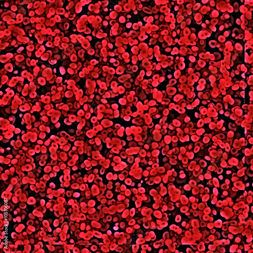 Red blood cells