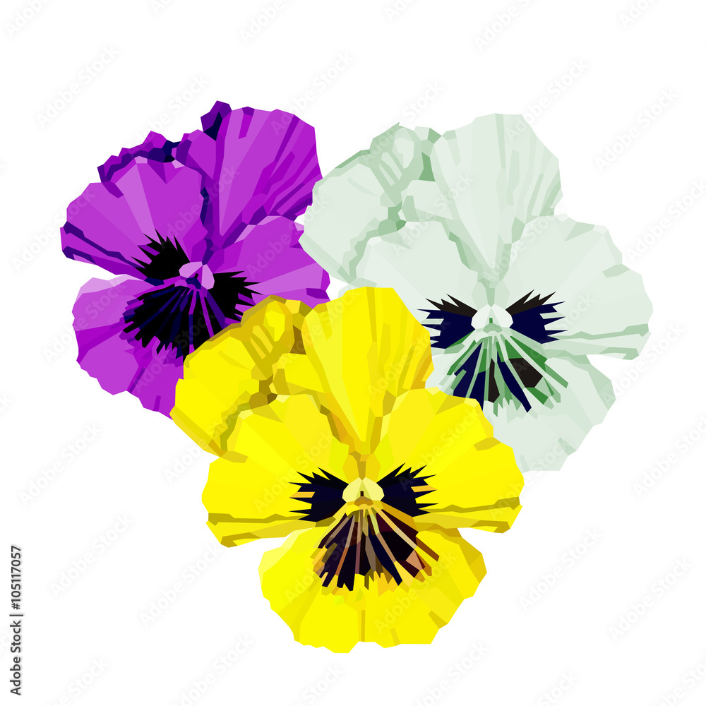 Viola flowers clipart. Colorfull pansys vector illustration