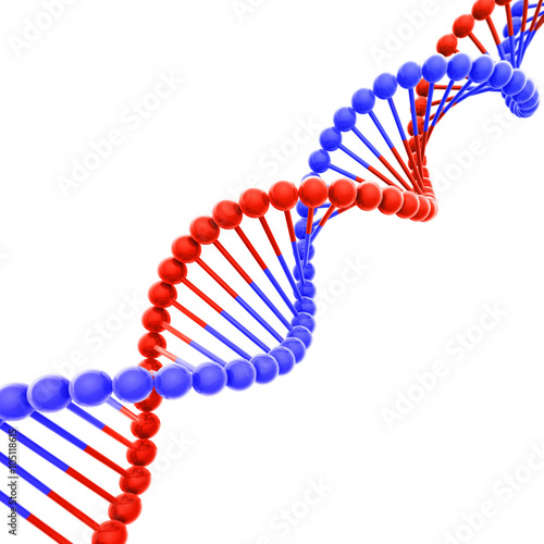 Red and Blue DNA Helix Isolated on White