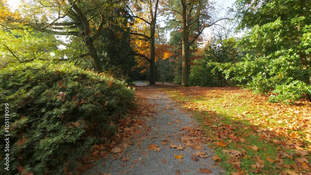 Pathway in the autumn park. Golden trees. Autumn colors. Fallen yellow leaves on the alley in the park. The sun's rays illuminate the golden leaves of the trees. 4K, 3840*2160, high bit rate, UHD Pathway in the autumn park. Golden trees. Autumn colors. Fallen yellow leaves on the alley in the park. The sun's rays illuminate the golden leaves of the trees. 4K, 3840*2160, high bit rate, UHD