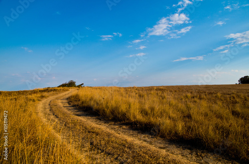 Meadow with road  yellow dry grass and blue sky.