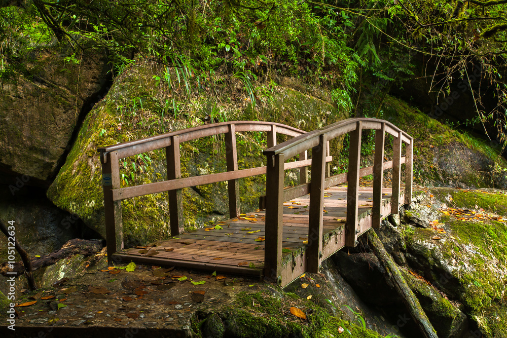 Small wood bridge in rain forest