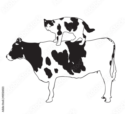Dotted cat riding cow