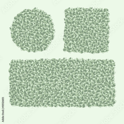  types of trimming hedges, shrubs shaped, green hedge, an elemen
