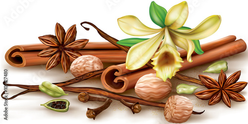 Dry aromatic spices