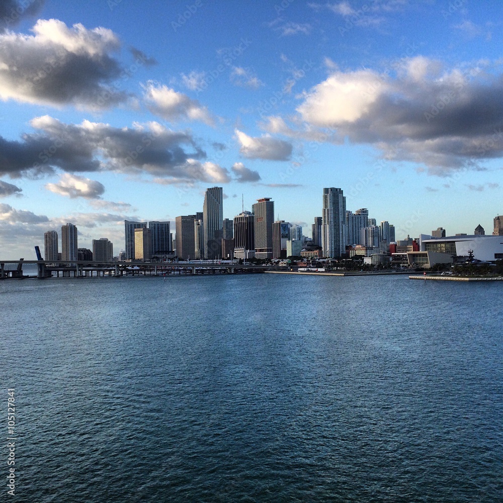 Naklejka premium downtown miami skyline