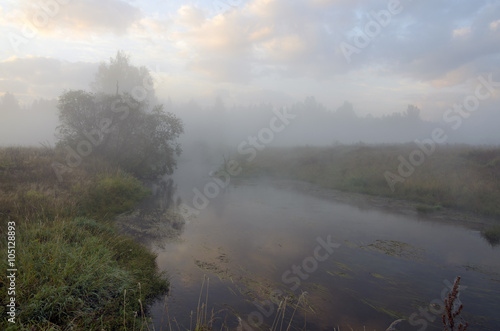 Autumn landscape