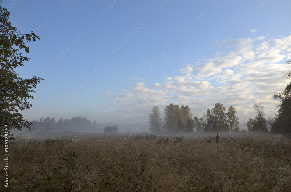 Autumn scene Autumn scene