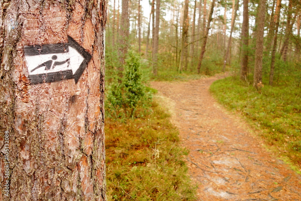hiking trail in the forest in Poland hiking trail in the forest in Poland