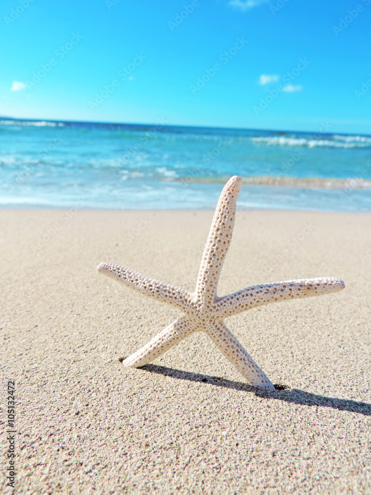 Starfish and sea, summer at the beach Starfish and sea, summer at the beach