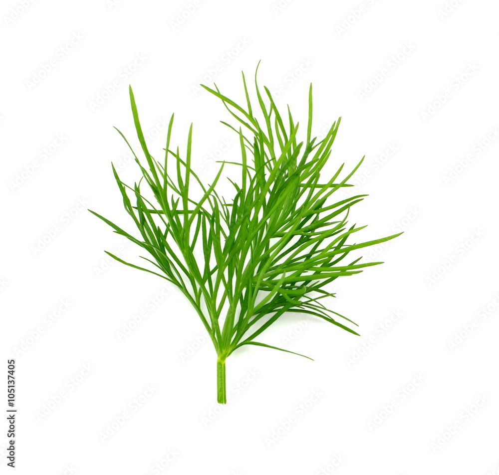 koper koper