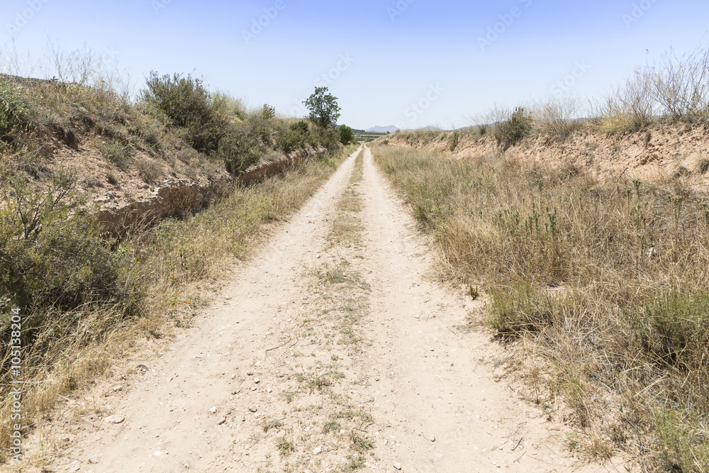 a country road on a summer day a country road on a summer day