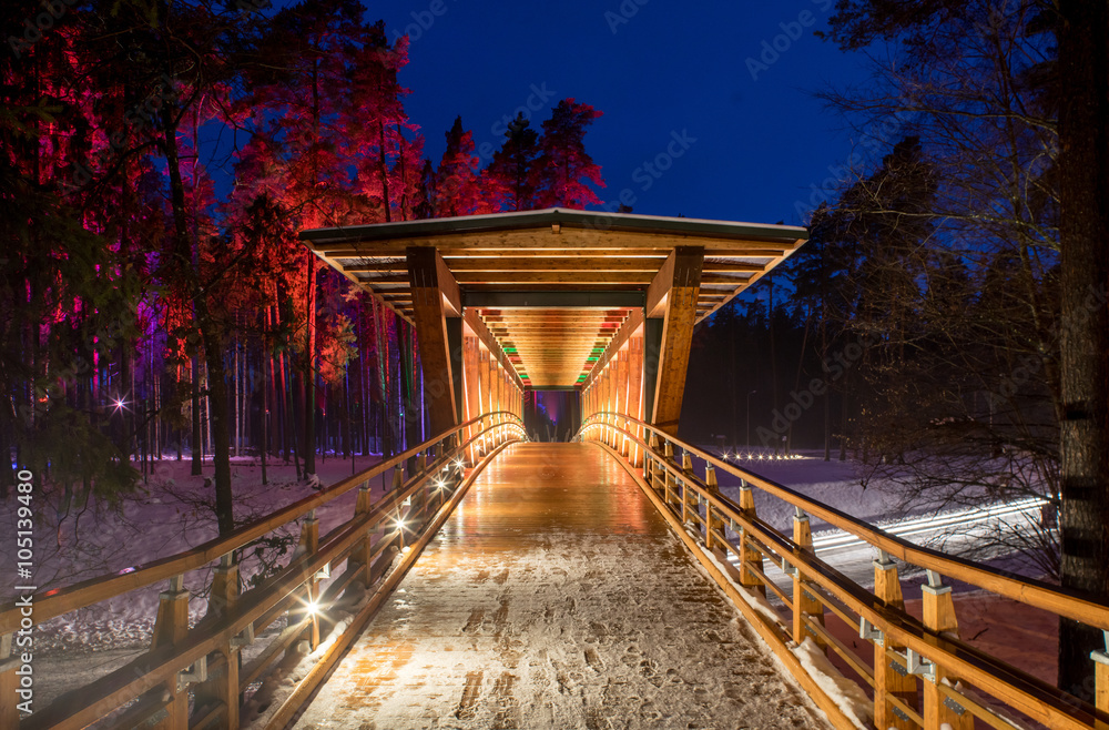 Obraz premium Wooden bridge in the forest park. Night multicolored lights.